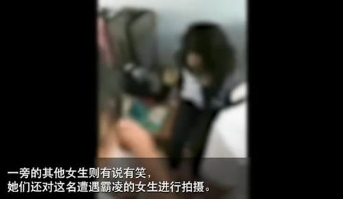 8女生围殴1女生校园暴力频发谁的责任