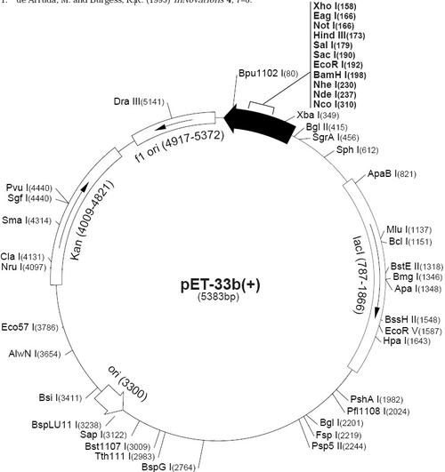 pet-33b( )质粒载体图谱序列抗性说明书价格报价中国质粒库