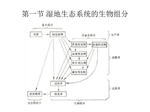 第二章湿地生态系统结构 ppt