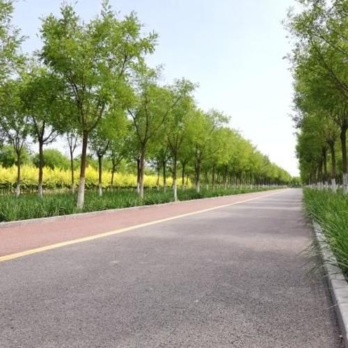 东丽湖生态健身公园