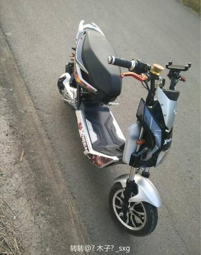 图片这是雅迪战警吗.是几代啊