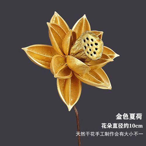金色供佛莲蓬莲花葫芦橡果干花客厅装饰摆件荷花过年