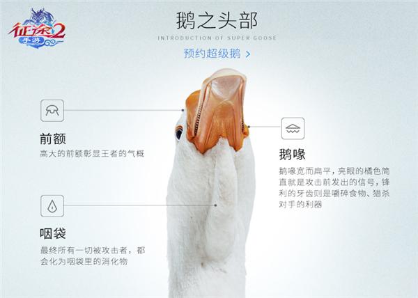 游戏史上最强宠物 《征途2手游》超级鹅今日预约