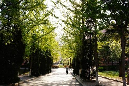 东北财经大学