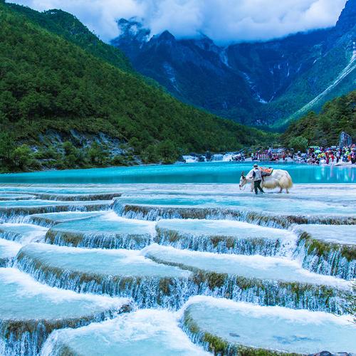 丽江——甘海子——坐大索道——冰川公园——午餐——蓝月谷/白水河