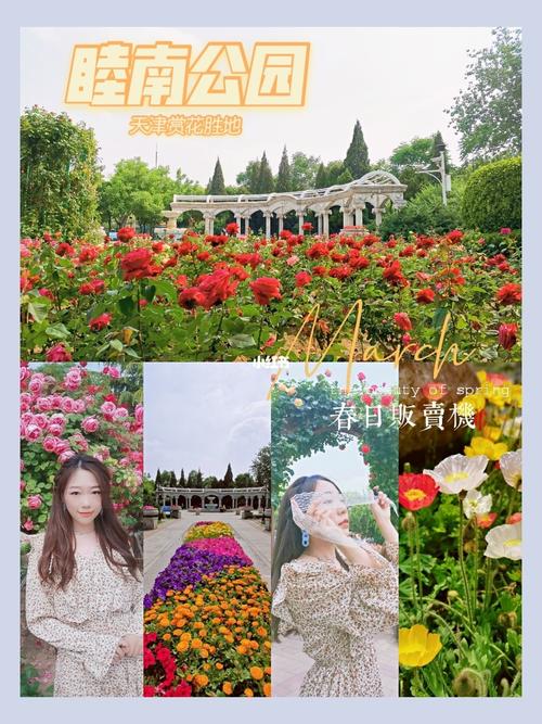 天津五月赏花胜地—睦南公园94_赏花_旅游攻略_摄影
