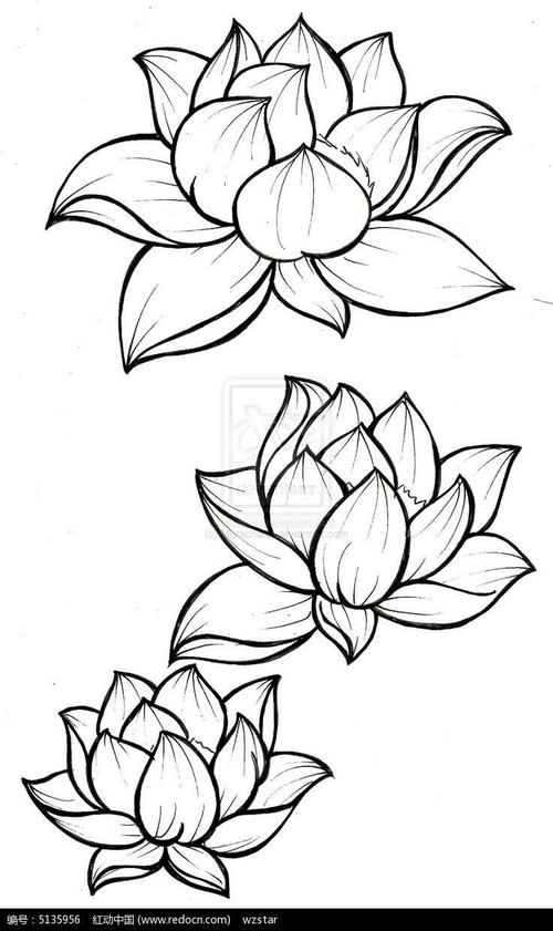 求十张简笔画花的图片(简单美丽)