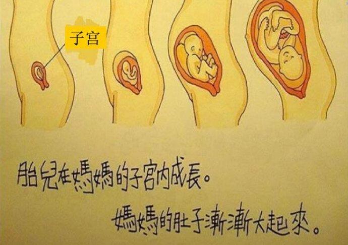 "我从哪里来"  音乐(律动)"三轮车"