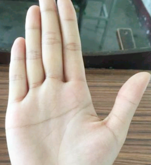 你的食指和无名指哪个更长?对照一下,暗示着孩子们之间的差距