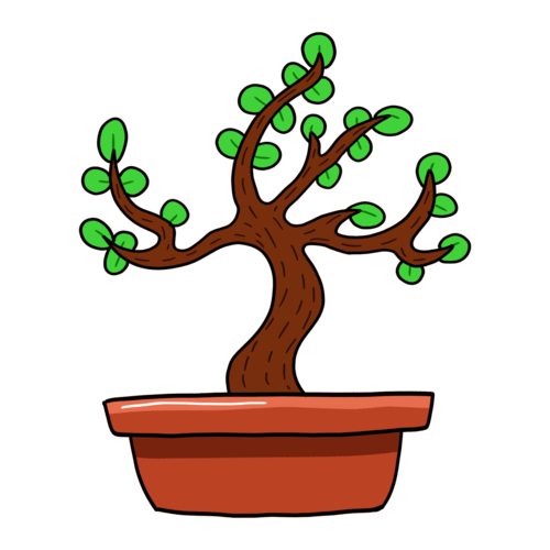手绘盆栽冬青树插画图片