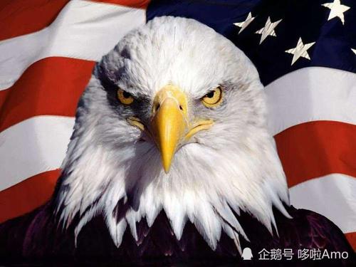 聊聊那个象征美国民主自由的家伙—