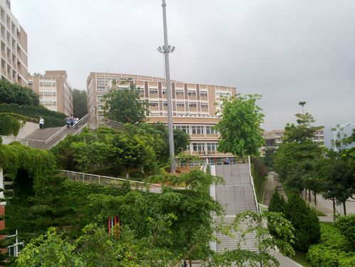 5月17日深外高中部回廊之旅_宿舍与食堂