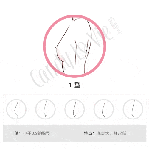 而用t值划分胸型,大致有6种