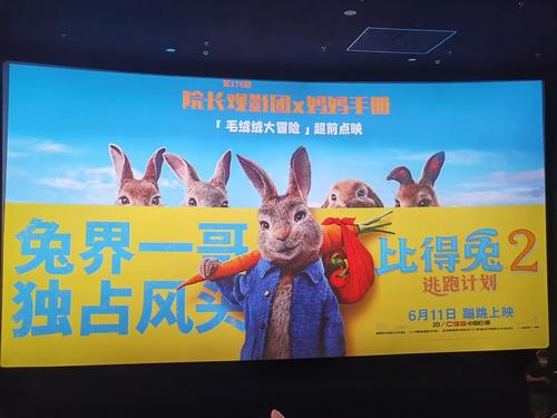 比得兔2逃跑计划个人观影不全面评价1529o2916