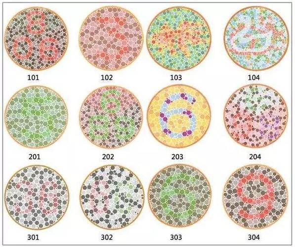 教育 正文  大家都知道学车前要体检,kk先给你来一组普通的色盲色弱