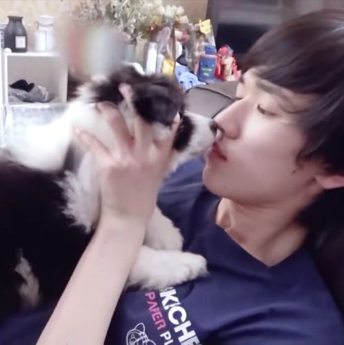 6】宋鼠标专楼 ⑥ 一小时冲刺楼 | 像烤得有点融化的棉花糖一般又软又