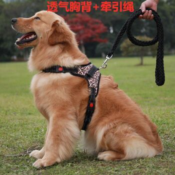 遛狗狗牵引绳栓狗绳子狗链子小型中型大型犬金毛拉布拉多胸背结实豹纹