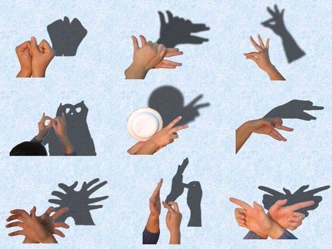 手影全集【图】