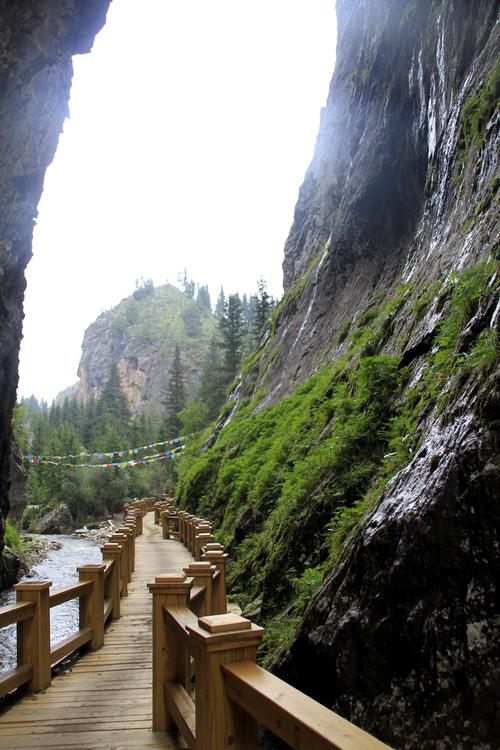 桑科草原辽阔无际,则岔石林壁立千仞----甘南自驾游(二)