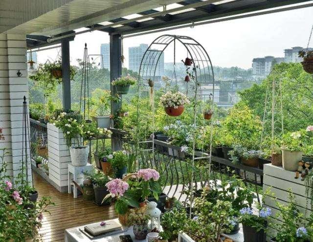 阳台变花园?几种俏搭配,错落有致,各色花海,四季赏不够