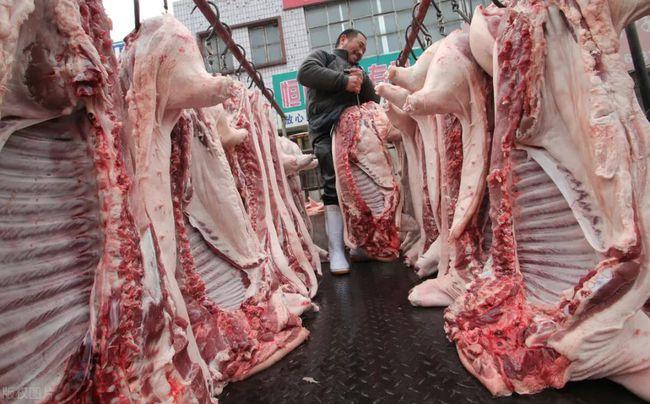 卖猪肉就是985废材?北大陆步轩成功在前,壹号土猪:真香