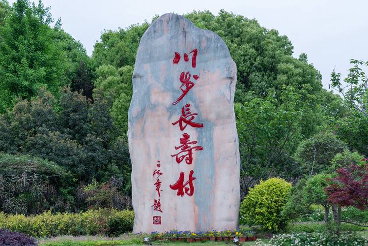 浙江长兴川步长寿村小瘾绿野仙踪民宿村