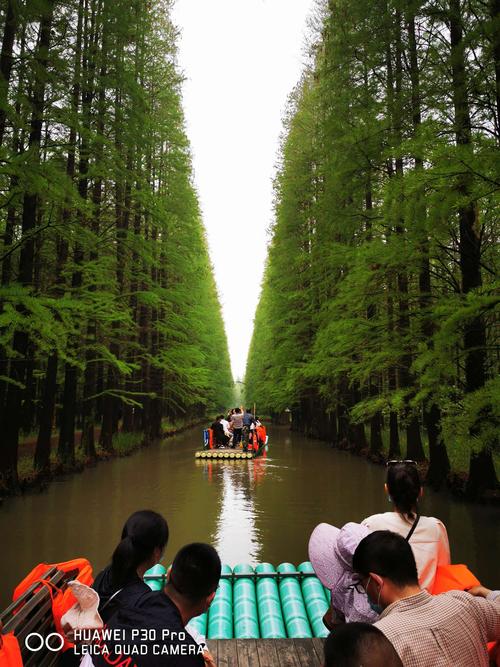 玻璃栈道下的金湖水上森林公园