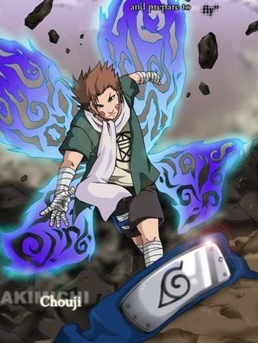 秋道丁次 蝴蝶是一种喜欢甜点的昆虫.