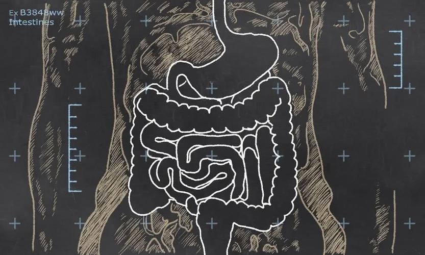 肠道是个容易"激动"的器官:全身50多种疾病都与它有关