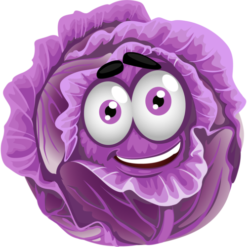 紫甘蓝简笔画可爱