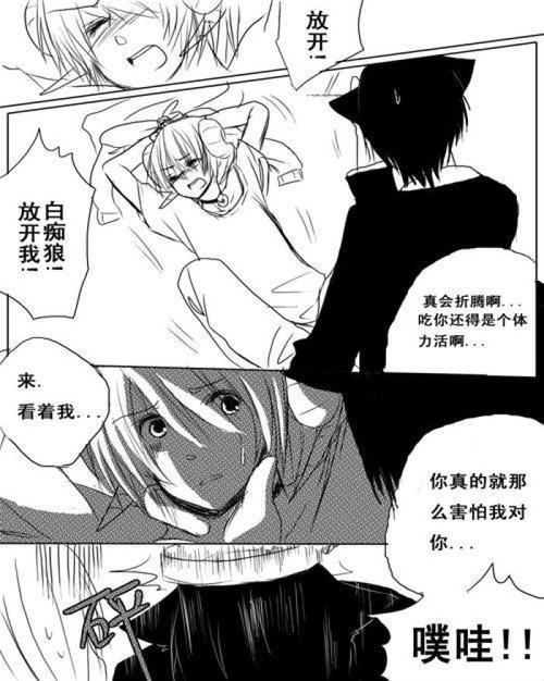 喜羊羊与灰太狼