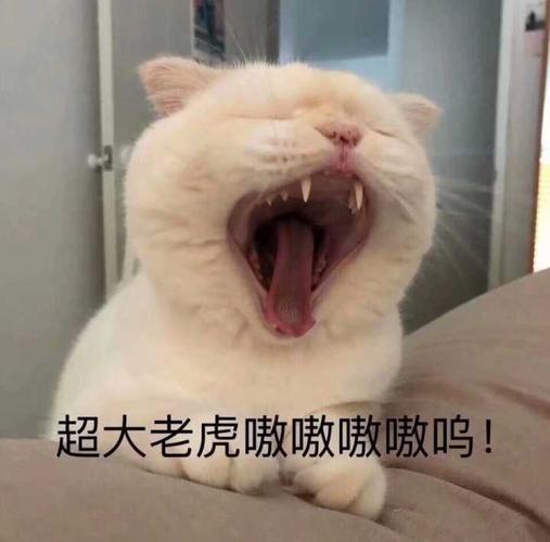 老虎嗷微信表情包斗图表情