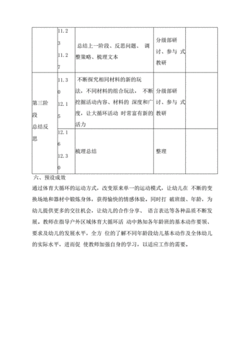 幼儿园户外体育大循环教研实施方案.docx 6页
