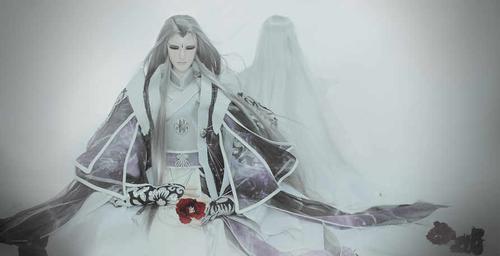 霹雳布袋戏中苍和蝴蝶君散发的图片,谁有?