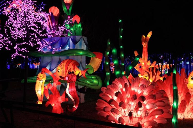 成都春节灯会之二