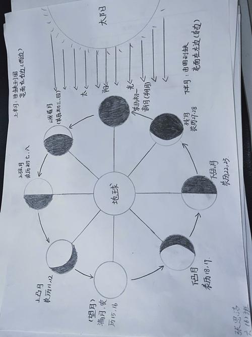 六(6)班月相变化图优秀作业(2019年)