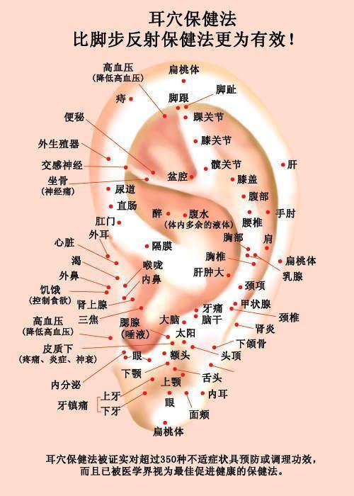 揉耳朵还能养生治病中医比捏脚好使