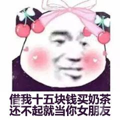 (熊猫头)_不起_十五块_奶茶_熊猫_女朋友表情