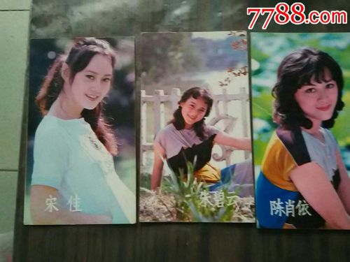 宋佳朱碧云陈肖依