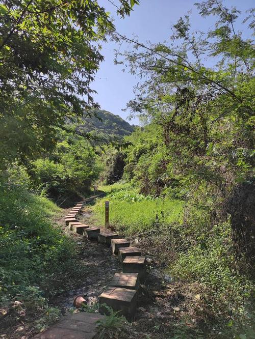 深圳马峦山桃花谷环线