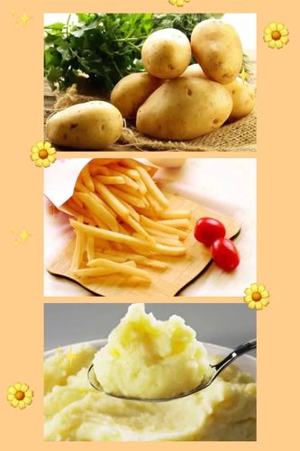 中科启迪幼儿园中班线上课程 —社会课《粮食变变变》