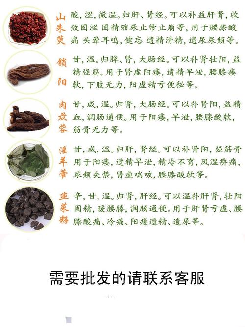 养生茶补肾茶纯中药五宝茶中药养生茶袋泡茶包邮带加工袋泡茶