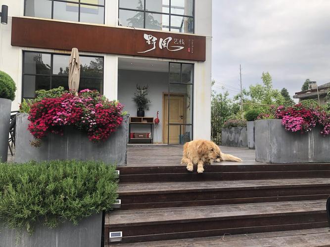 宜兴竹海 龙池山 野风艺栈山景民宿