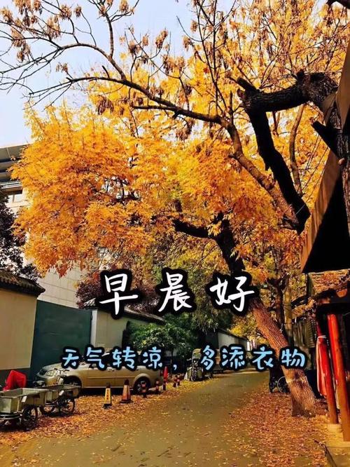 最新版秋天早上好天凉加衣祝福语图片,好看又暖心的早安问候语