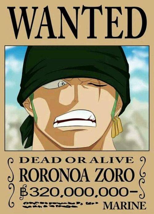 海贼团的"副船长",而索隆目前高达3亿2千万贝利的悬赏金也正是海军对