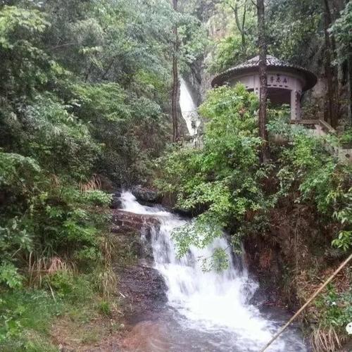 东阳市江北街道桐木禅寺我们一起去看看吧