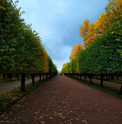 摄影习作二年级第五期 ------画面的构成:点,线,面,构图法则