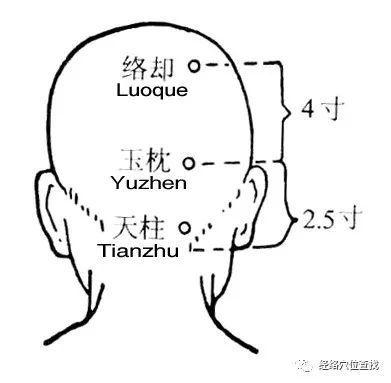 网易首页>正文申请入驻> 天柱穴的准确位置图准确位置