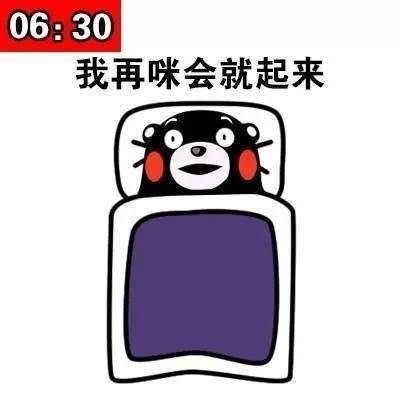 抖音早晨晚上床上躺着玩手机表情包