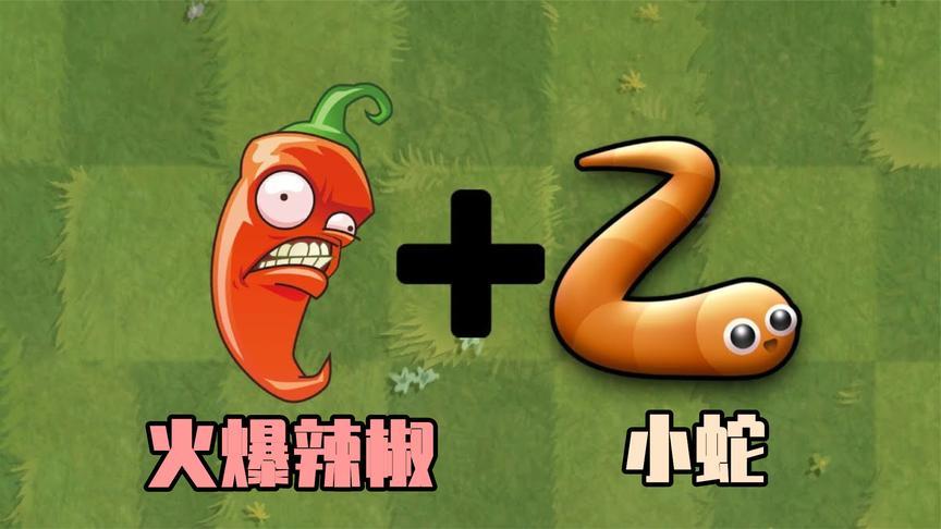 黑客版植物大战僵尸游戏火爆辣椒小蛇融合成移动的炸弹